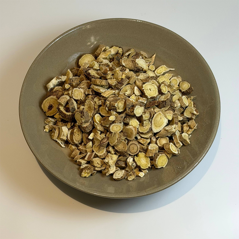 Astragalus-Wurzelscheiben
