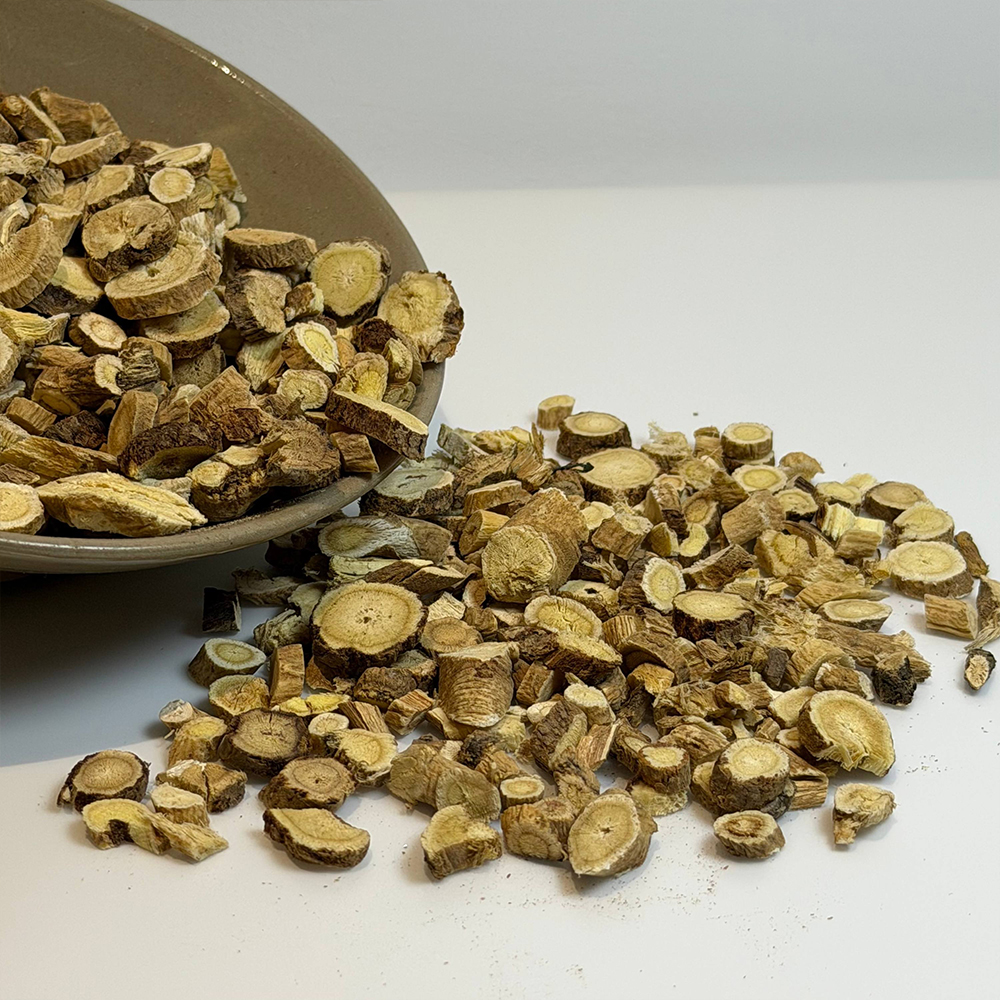 Astragalus-Wurzelscheiben