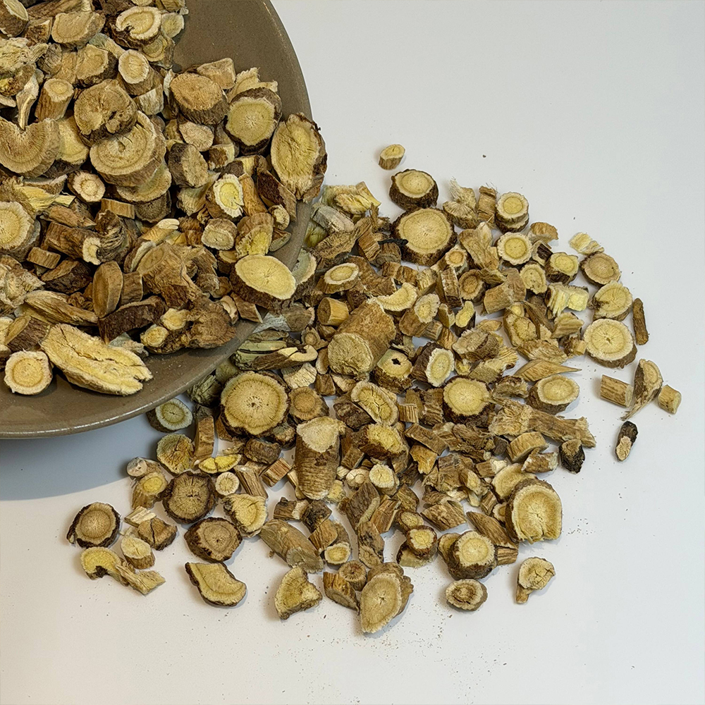 Astragalus-Wurzelscheiben