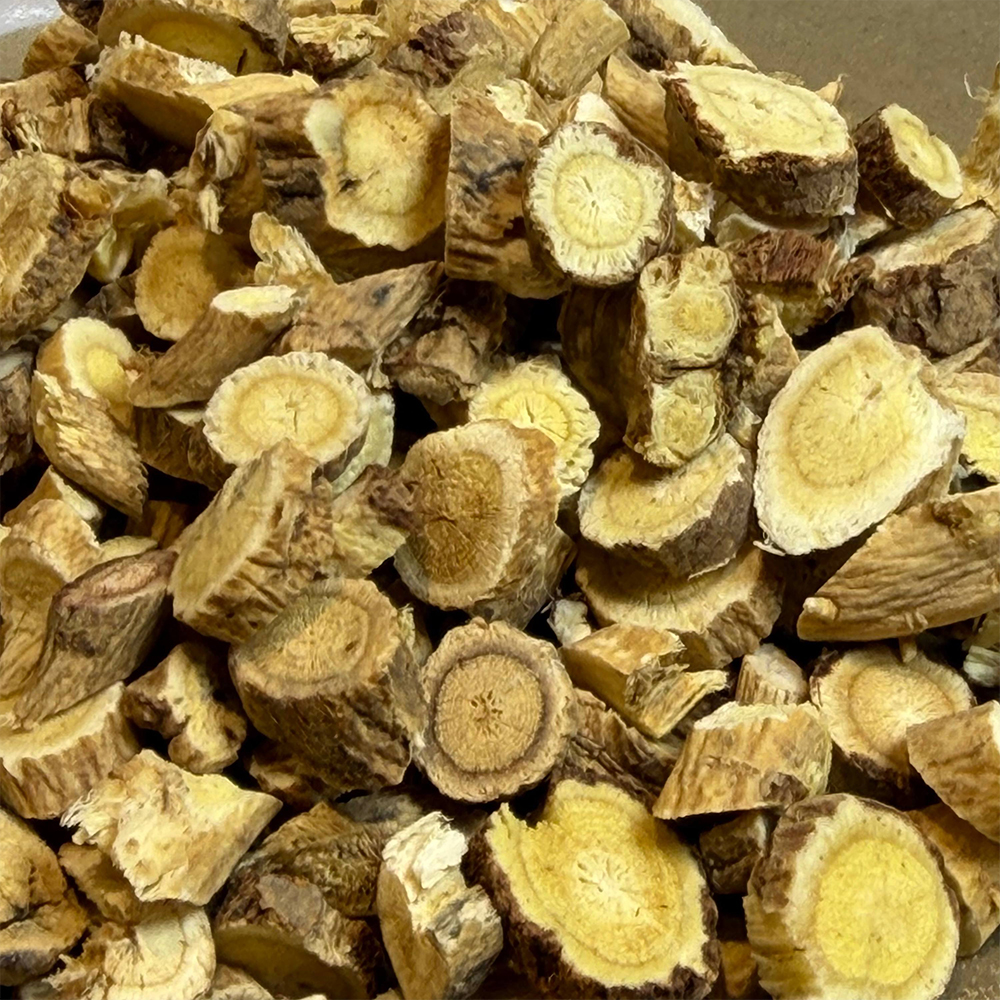 Astragalus-Wurzelscheiben